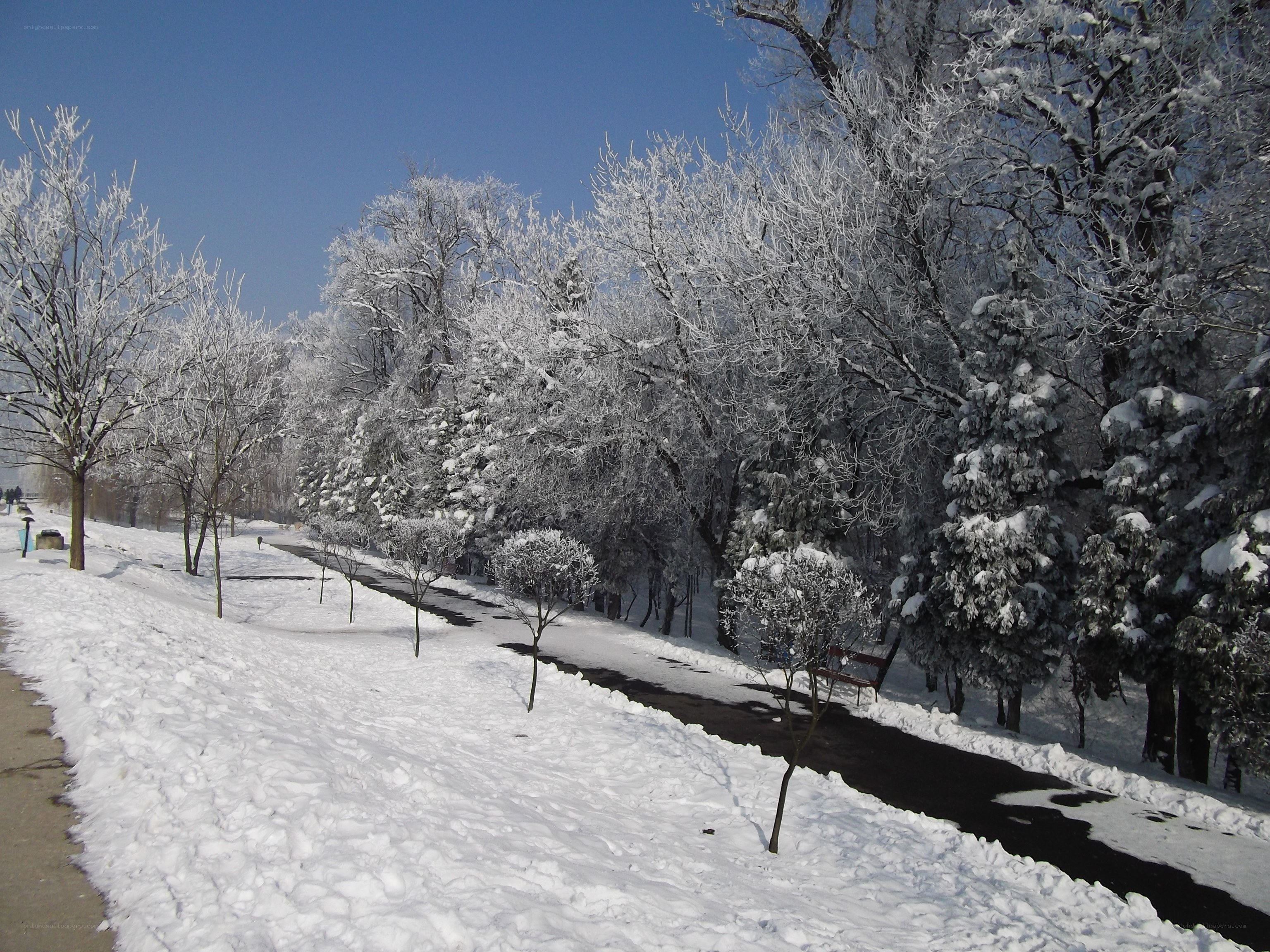 Snow-covered park path