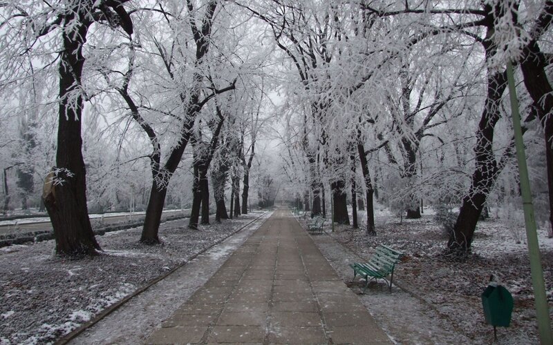 Snow-covered park pathway