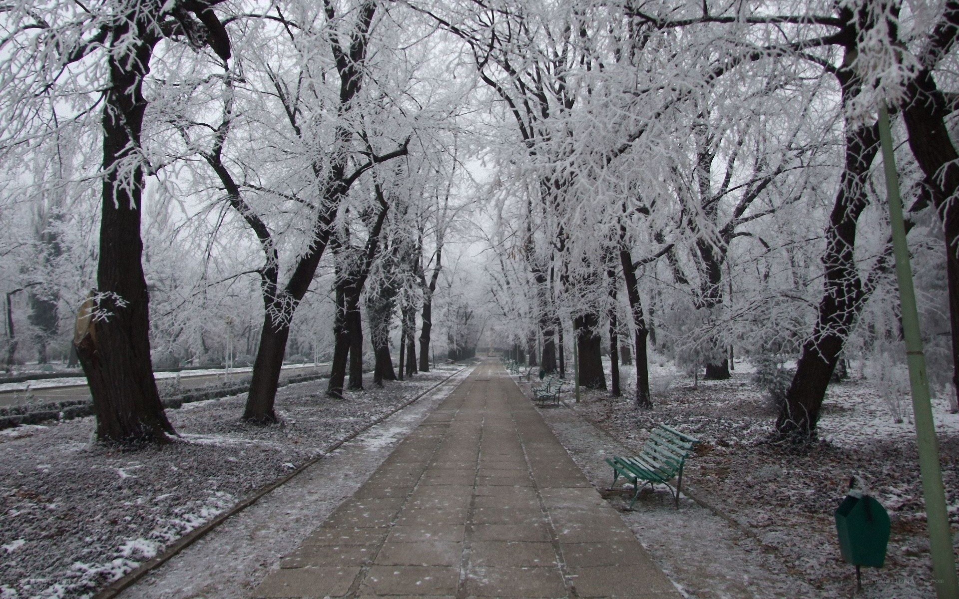 Snow-covered park pathway