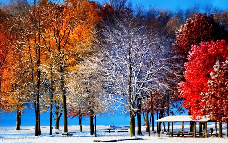 Snow-covered Park — Red