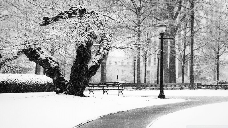 Snow-covered Park Scene — Black, Serene