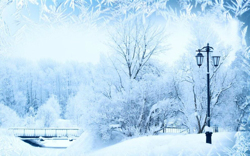 Snow-covered Park Scene — White
