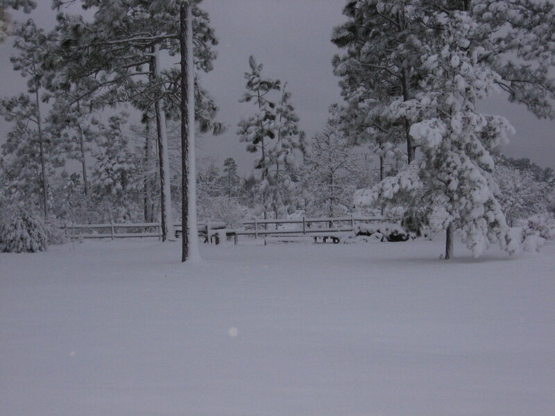 Snow-covered Park