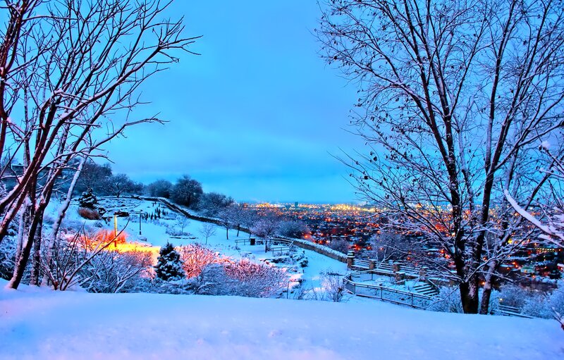 Snow-covered Park View