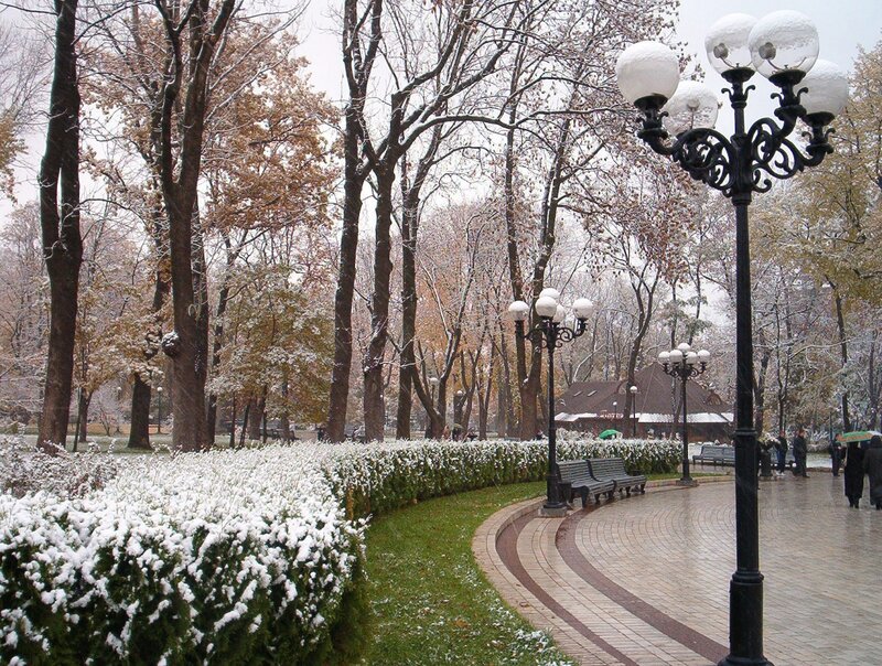 Snow-covered Park — White, Calm