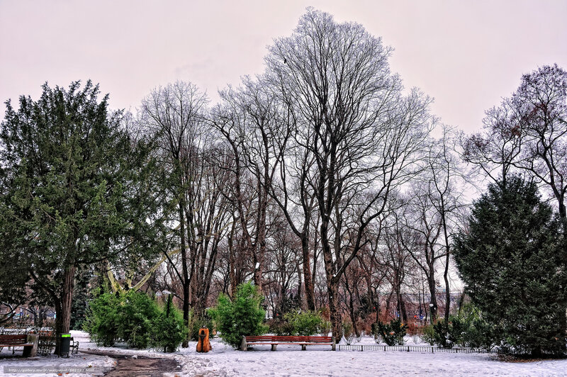 Snow-covered Park — White, Calm, Winter, Photograph, Trees, Bench