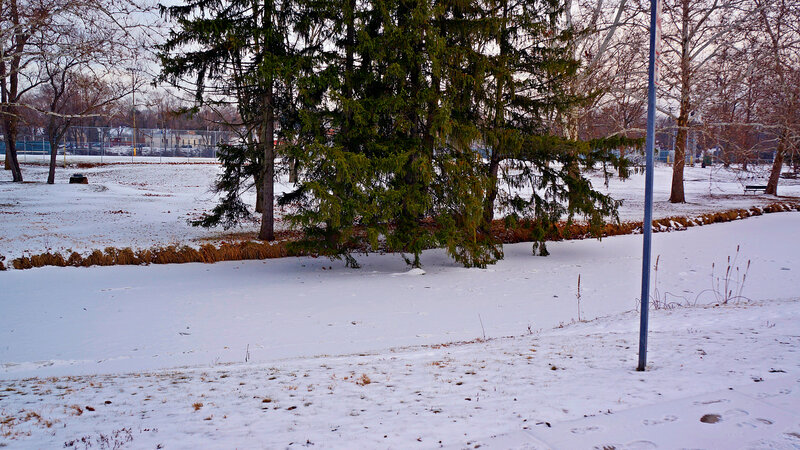 Snow-covered Park — White, Calm, Winter, Photograph, Trees