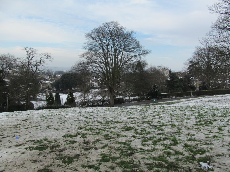 Snow-covered Park — White, Calm, Winter