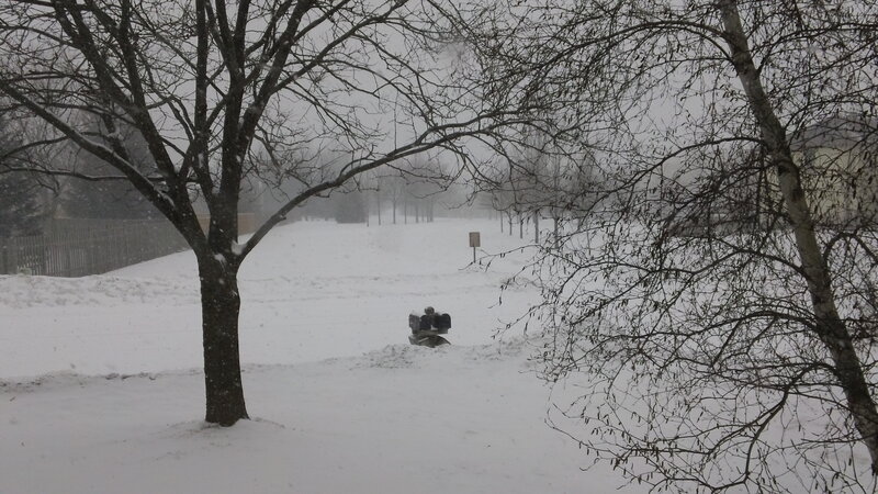 Snow-covered Park — White, Cold
