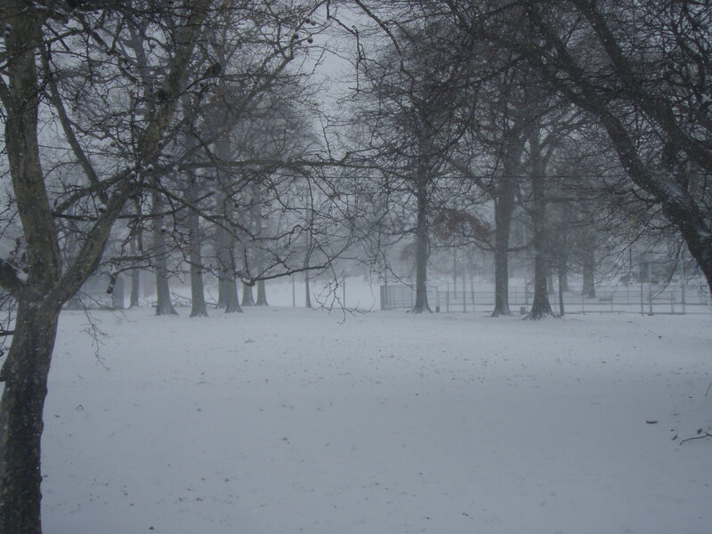Snow-covered Park — White, Cold, Winter, Photograph