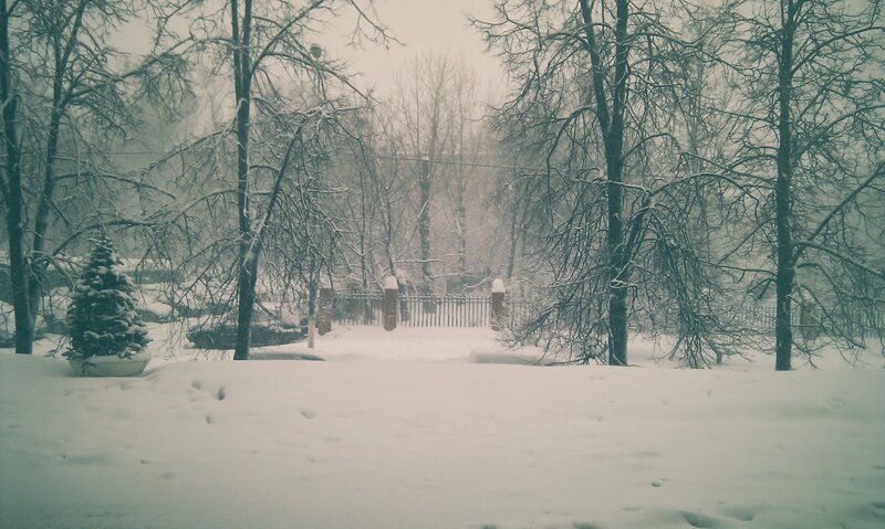 Snow-covered Park — White, Cold, Winter