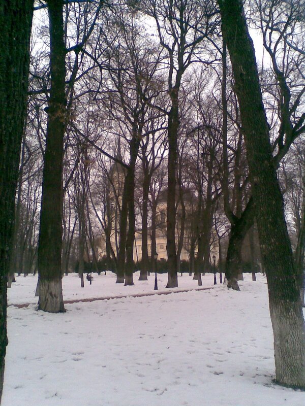 Snow-covered Park — White, Quiet