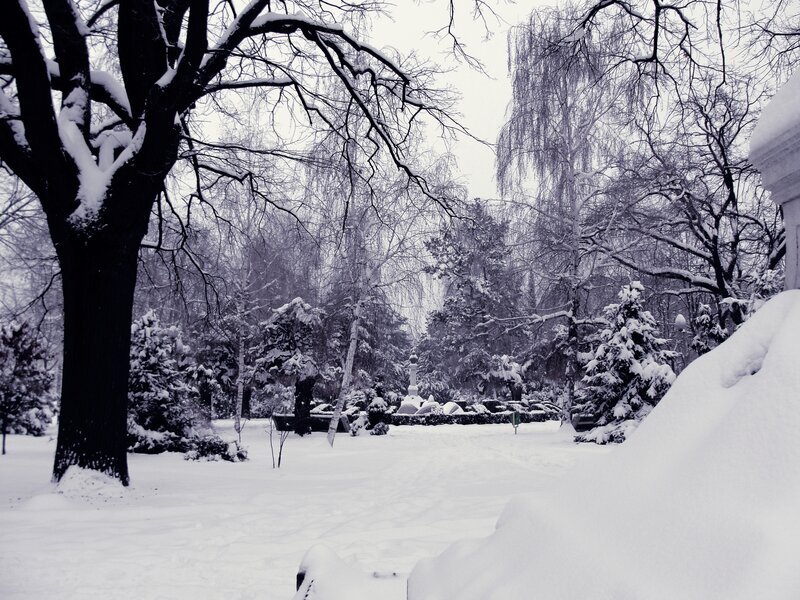 Snow-covered Park — White, Serene