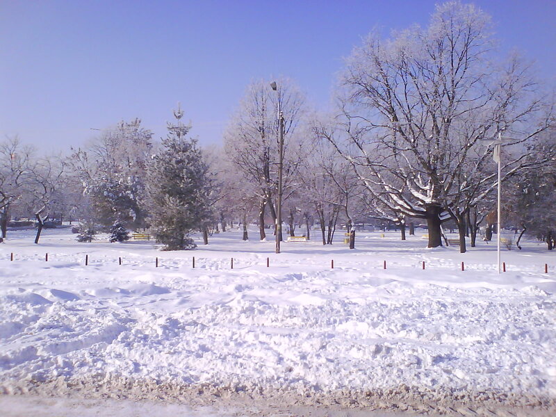 Snow-covered Park — White, Serene, Winter, Photograph