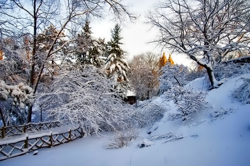 Snow-covered Park — White, Serene, Winter, Photograph, Trees, Fence