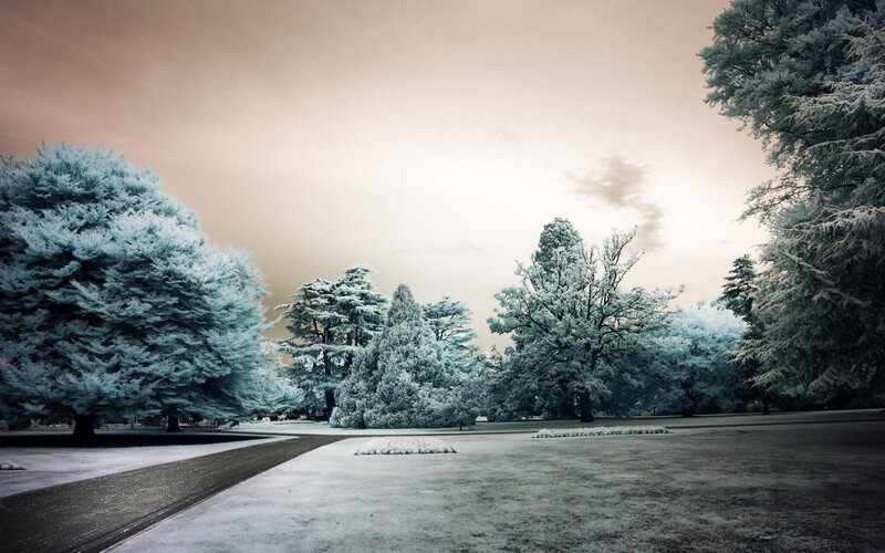 Snow-covered Park — White, Serene, Winter, Photograph, Trees, Path