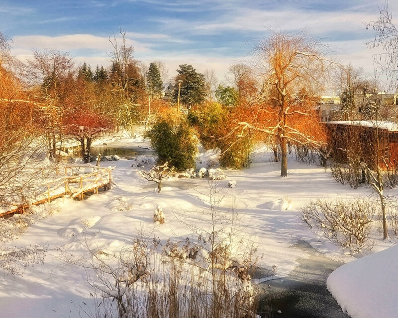 Snow-covered Park — White, Serene, Winter, Photograph, Trees, River
