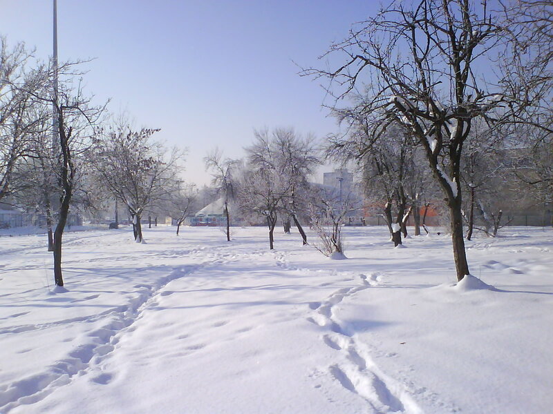 Snow-covered Park — White, Serene, Winter