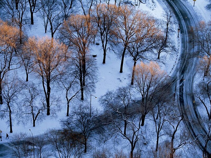 Snow-covered Park — White