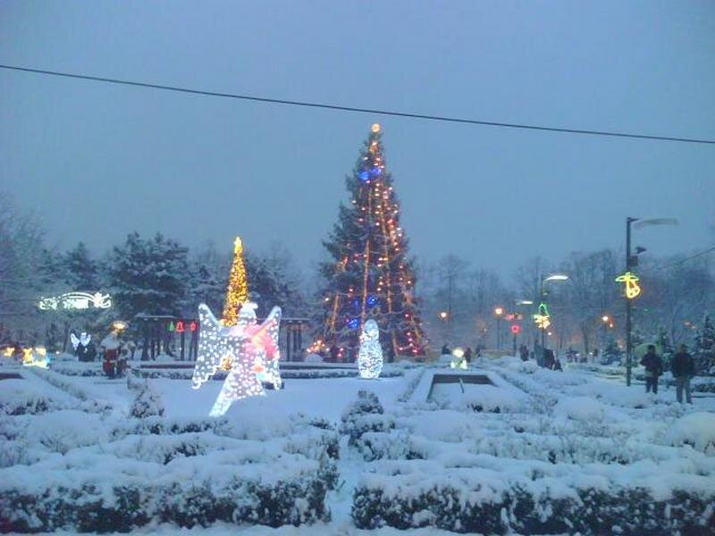 Snow-covered Park with Lights