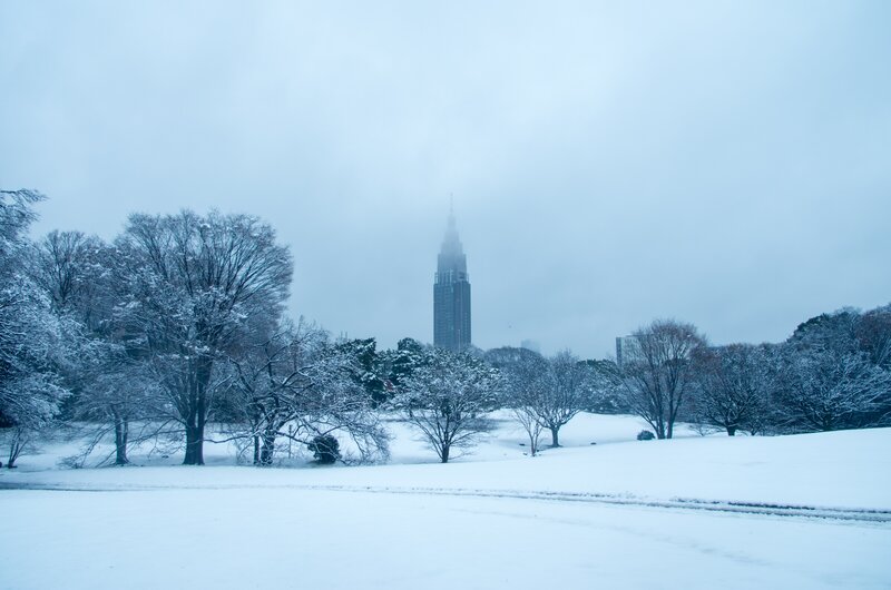 Snow-covered Park with Skyscraper