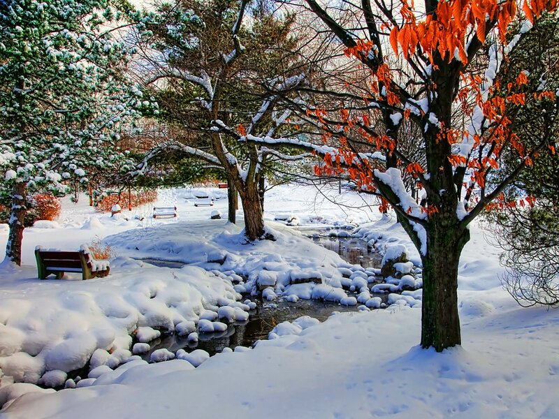 Snow-covered Park with Stream