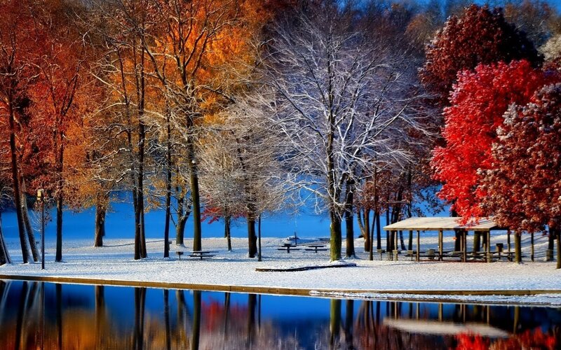 Snow-covered Park with Trees — Red