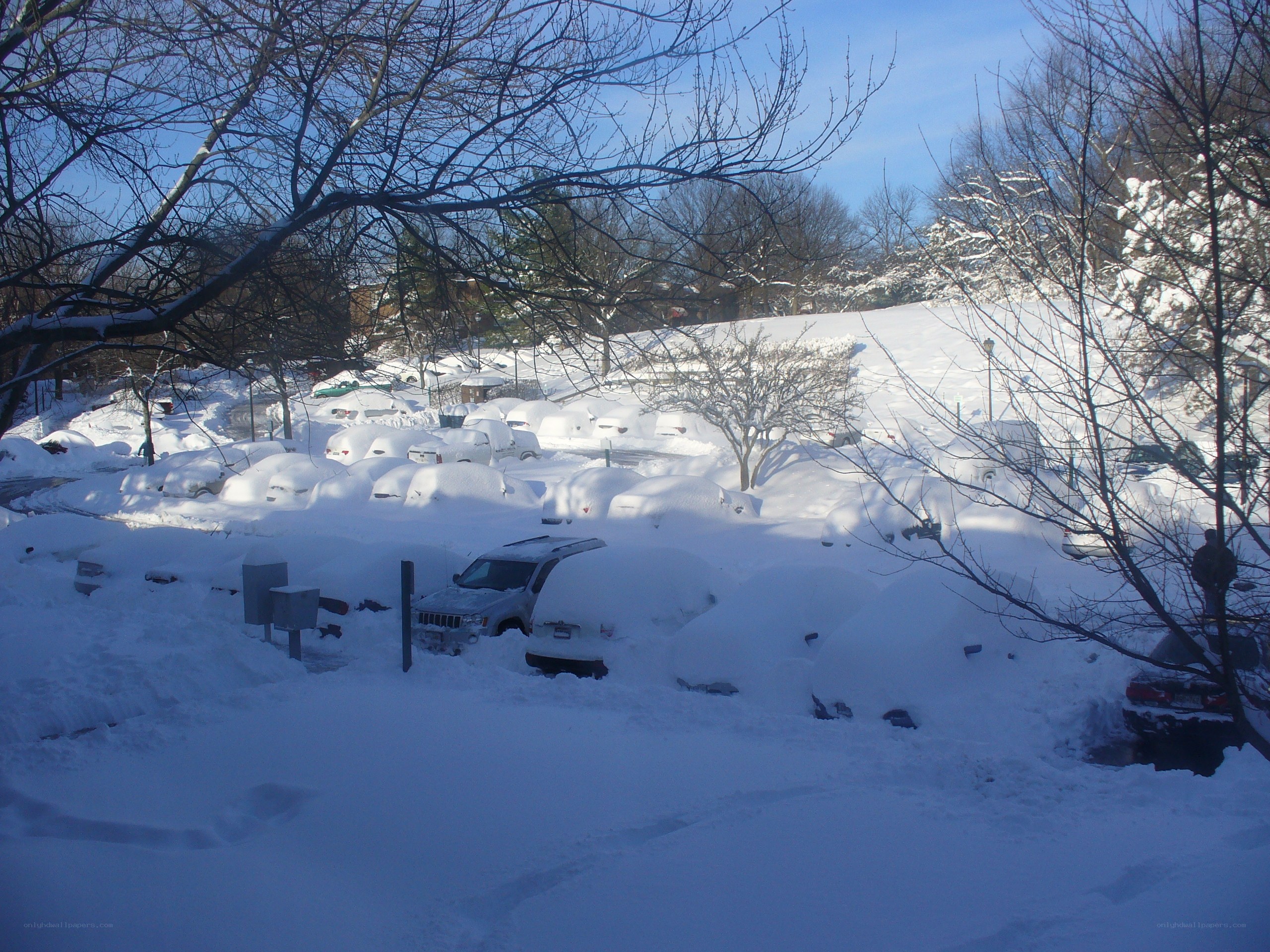 Snow-covered parking lot