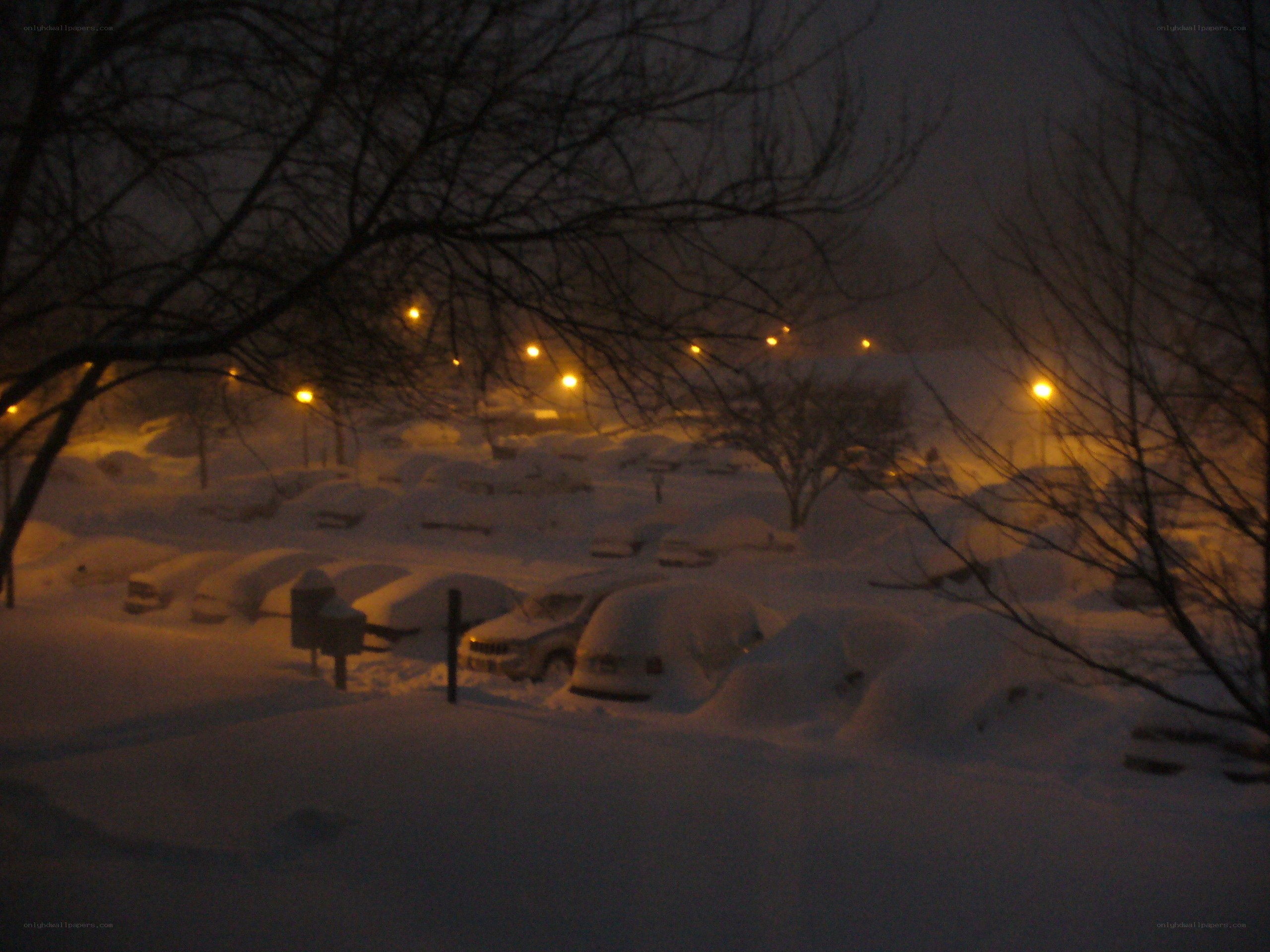 snow-covered parking lot at night
