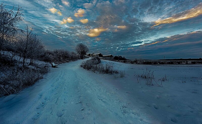 Snow-covered Path at Dusk — Blue