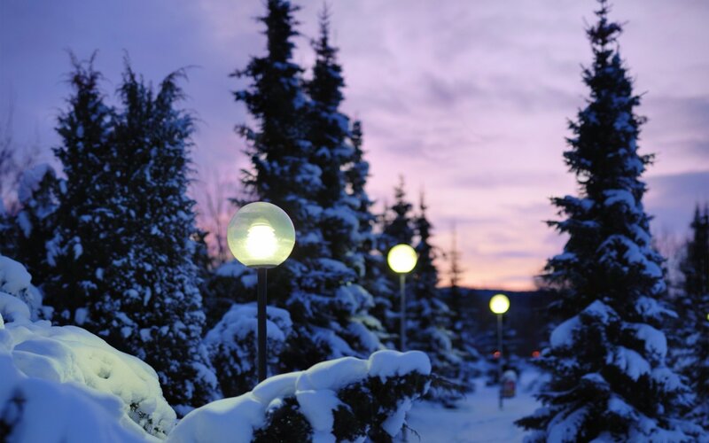 Snow-covered Path at Dusk — Purple, Serene, Winter