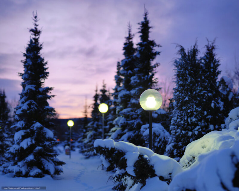 Snow-covered Path at Dusk — Purple