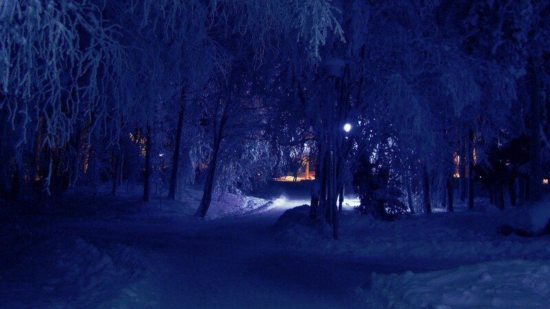 Snow-covered Path at Night — Blue, Dark