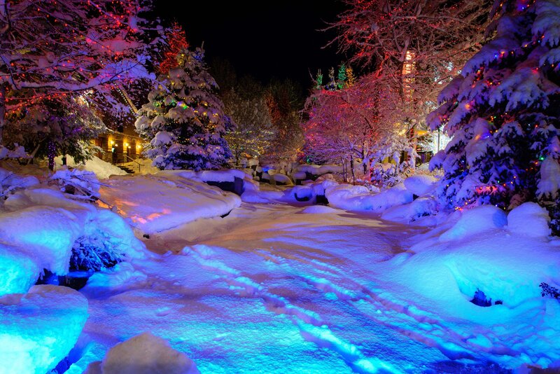 Snow-covered Path at Night — Blue, Festive, Photograph