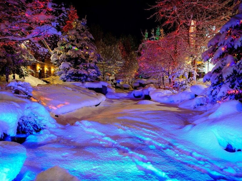 Snow-covered Path at Night — Blue, Festive, Photograph, Trees