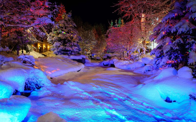 Snow-covered Path at Night — Blue, Festive
