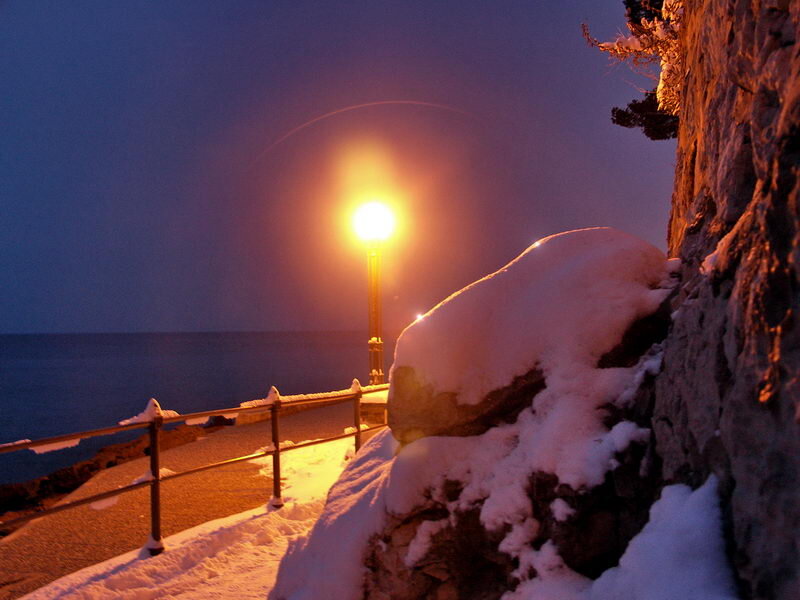 Snow-covered Path at Night — Blue, Serene, Photograph