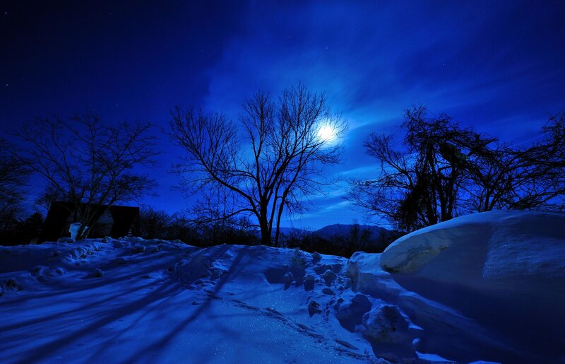 Snow-covered Path at Night — Blue, Serene, Photograph, Trees, Moon
