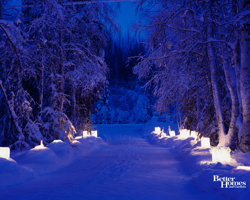 Snow-covered Path at Night — Blue, Serene, Photograph, Trees, Snow