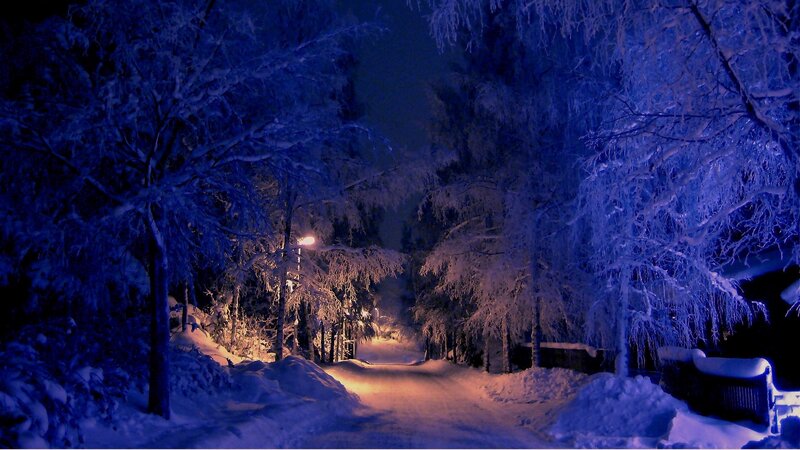 Snow-covered Path at Night — Blue, Serene, Photograph, Trees, Streetlight, Snow