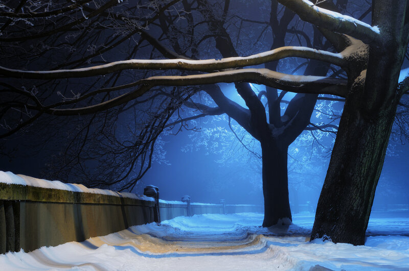 Snow-covered Path at Night — Blue, Serene, Photograph, Trees