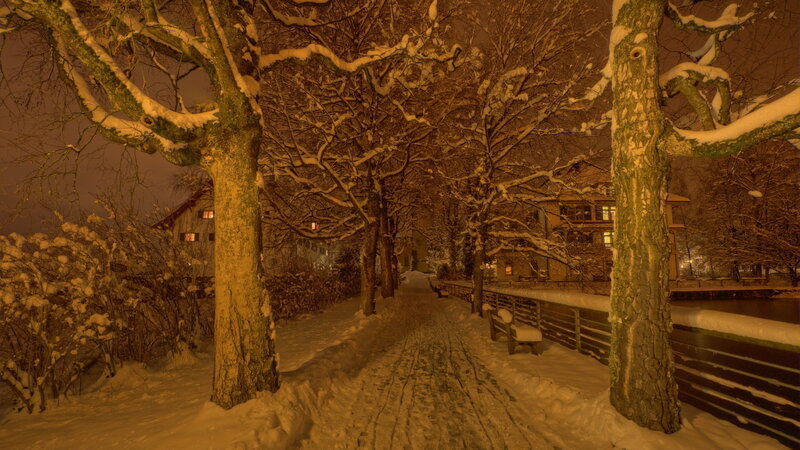 Snow-covered Path at Night — Brown