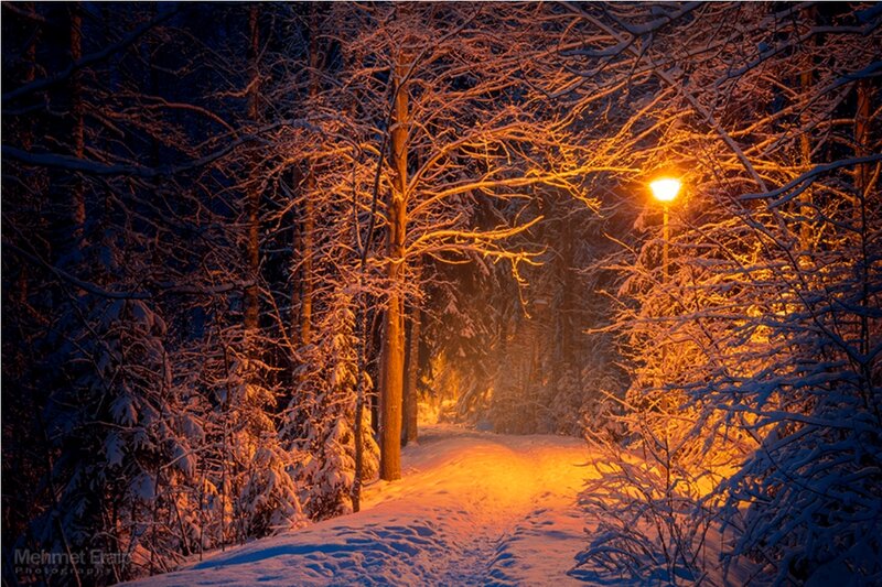 Snow-covered Path at Night — Orange, Serene