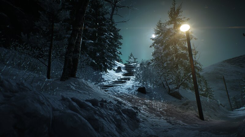 Snow-covered Path at Night — White, Dark
