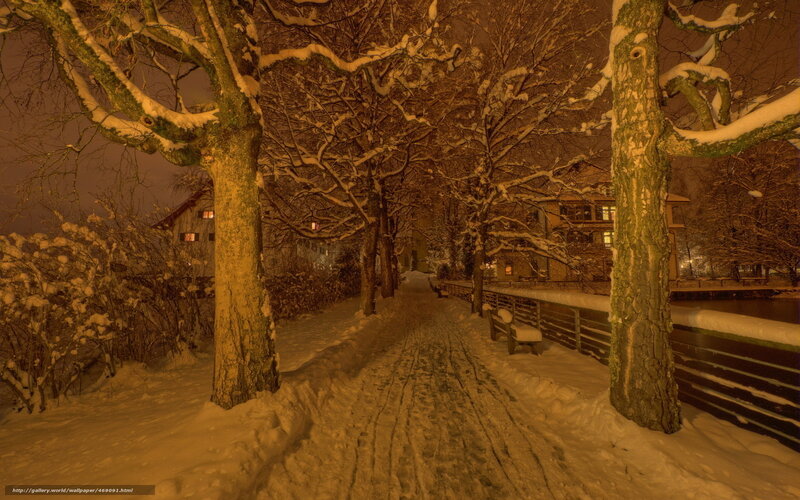 Snow-covered Path at Night — White, Serene