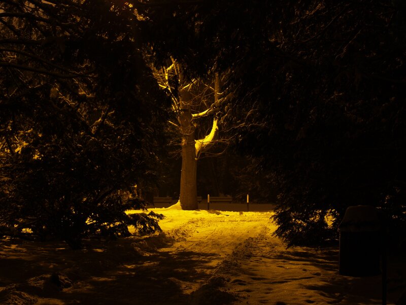 Snow-covered Path at Night — Yellow, Dark