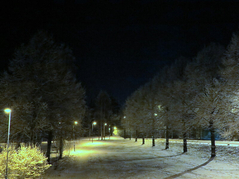 Snow-covered Path at Night — Yellow
