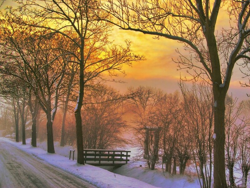 Snow-covered Path at Sunrise