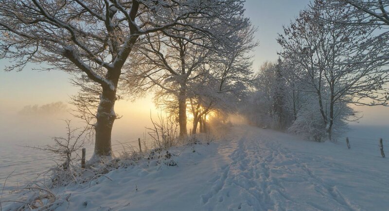 Snow-covered Path at Sunrise — White