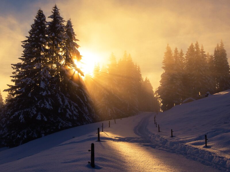 Snow-covered Path at Sunrise — Yellow